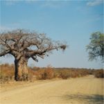 Driving - gravel road